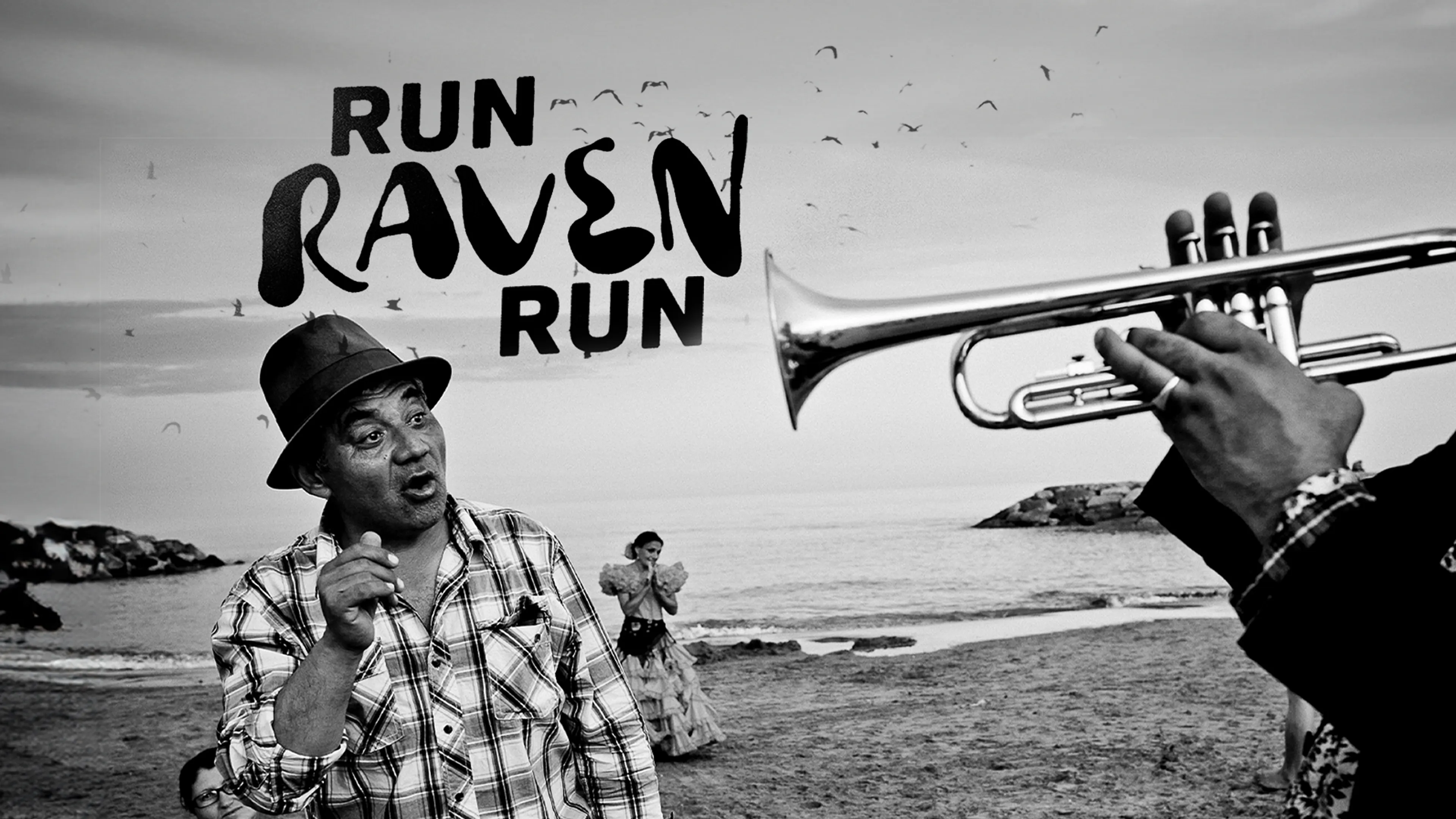 Run Raven Run poster